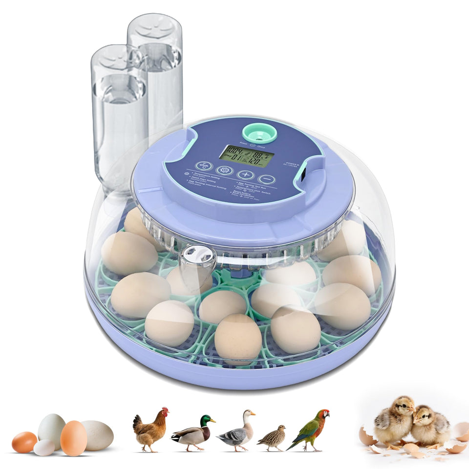 Cliseve 18-egg incubator with 360° window for clear observation and progress tracking.