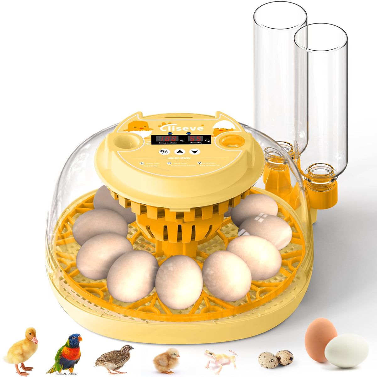 Cliseve Egg Incubator 360-degree lid for easy observation during hatching.