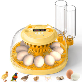 Cliseve Egg Incubator 360-degree lid for easy observation during hatching.