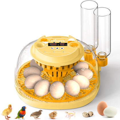 Cliseve Egg Incubator 360-degree lid for easy observation during hatching.