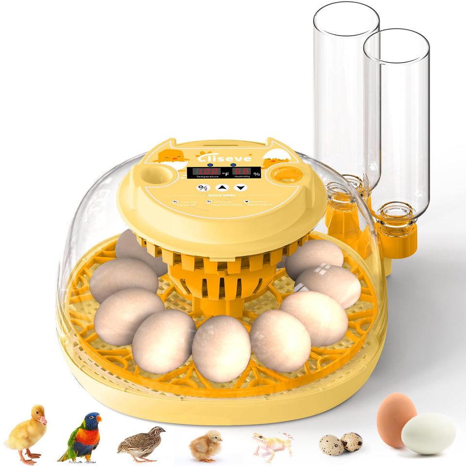 Cliseve Egg Incubator 360-degree lid for easy observation during hatching.