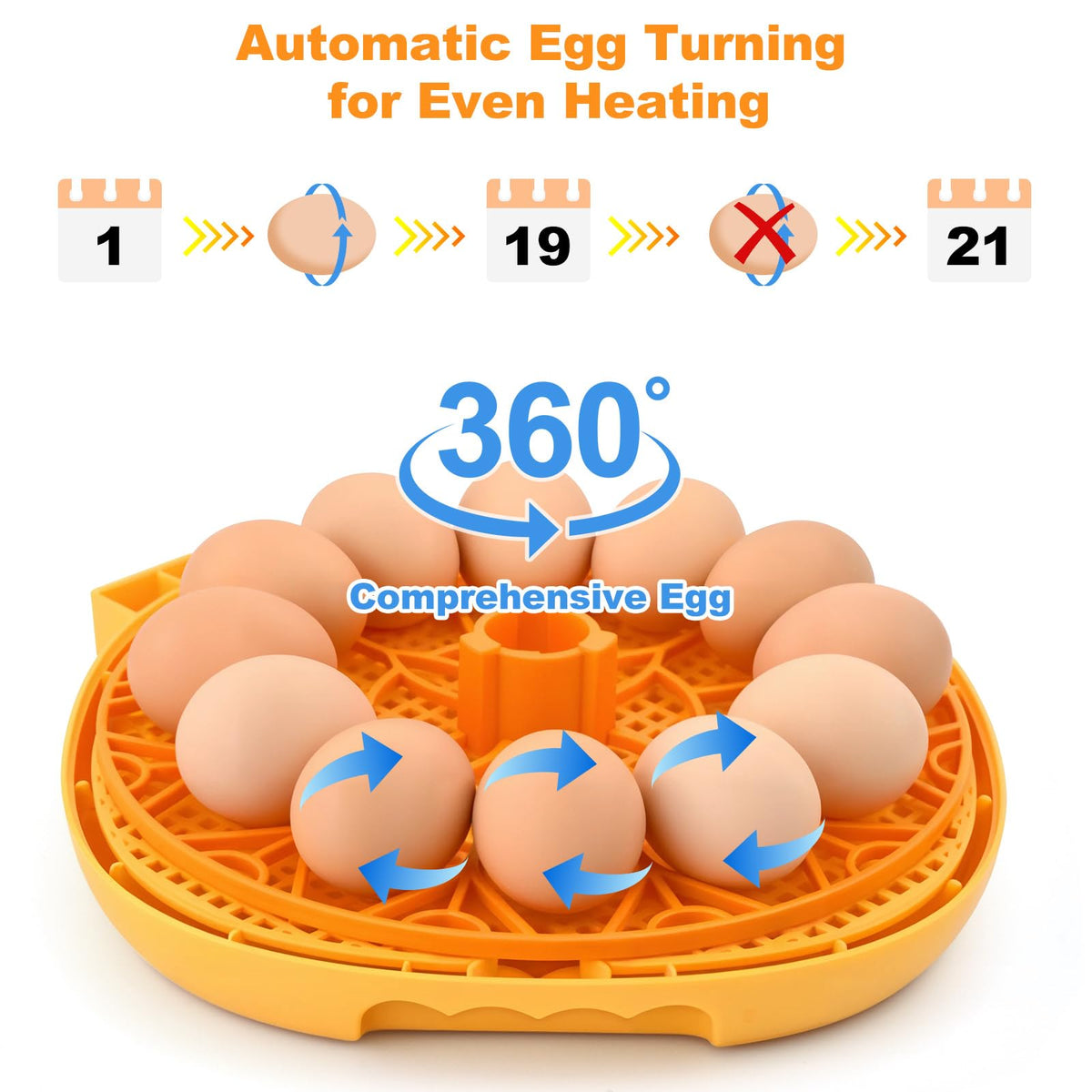 Automatic egg Turner ensures even heat distribution for healthy development.