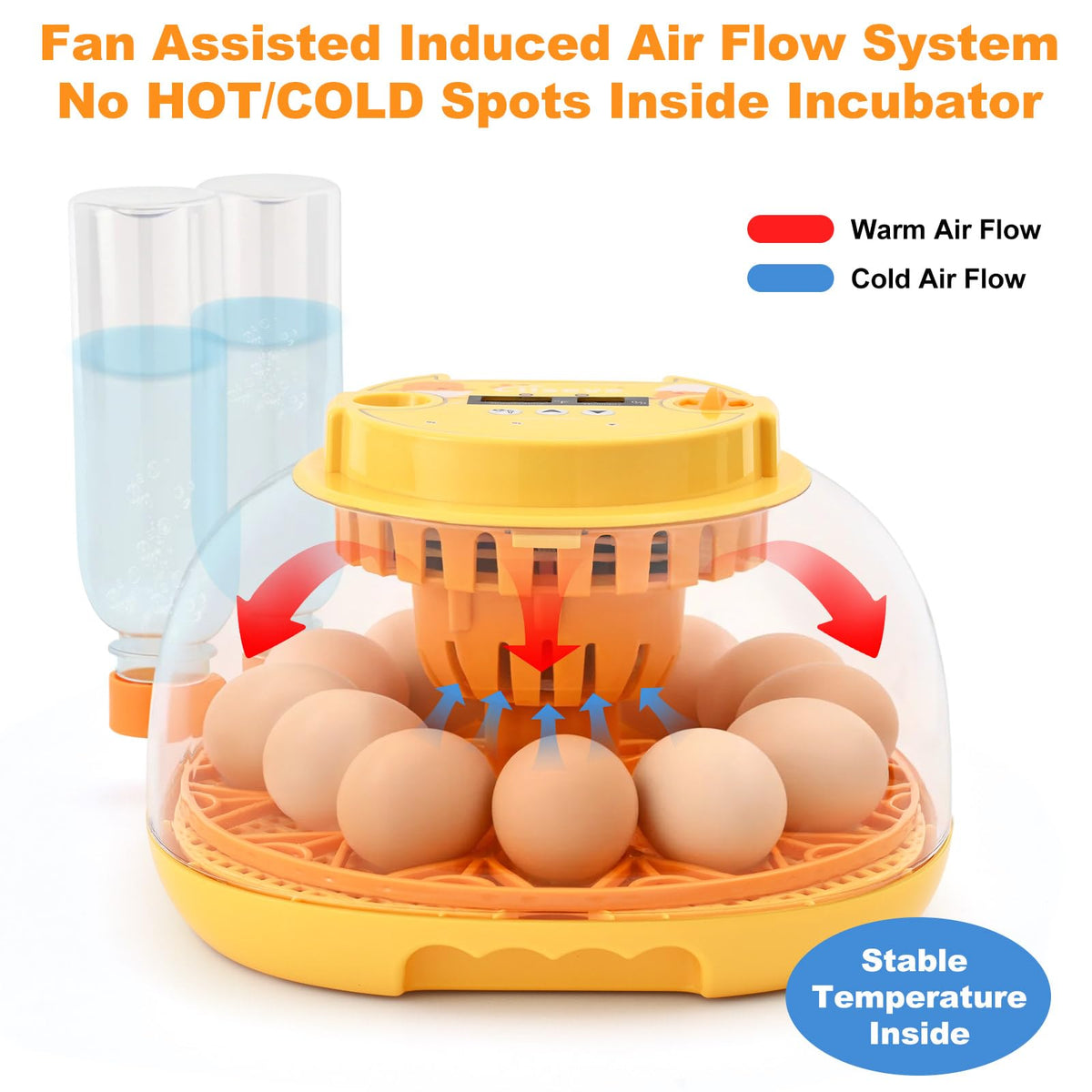Clear PET body offers durable visibility of eggs during incubation.