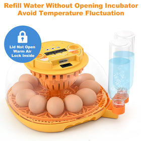 Holds up to 12 eggs, suitable for small poultry, ducks, or quails.