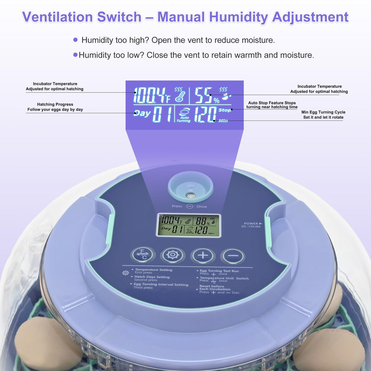 Cliseve egg incubator with crystal-clear lid enabling quick inspection during incubation.