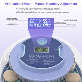 Cliseve egg incubator with crystal-clear lid enabling quick inspection during incubation.