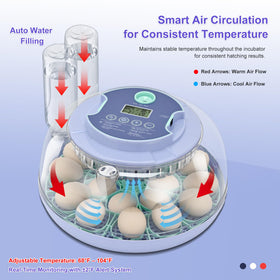 Cliseve incubator shows precise temperature and humidity for reliable control.
