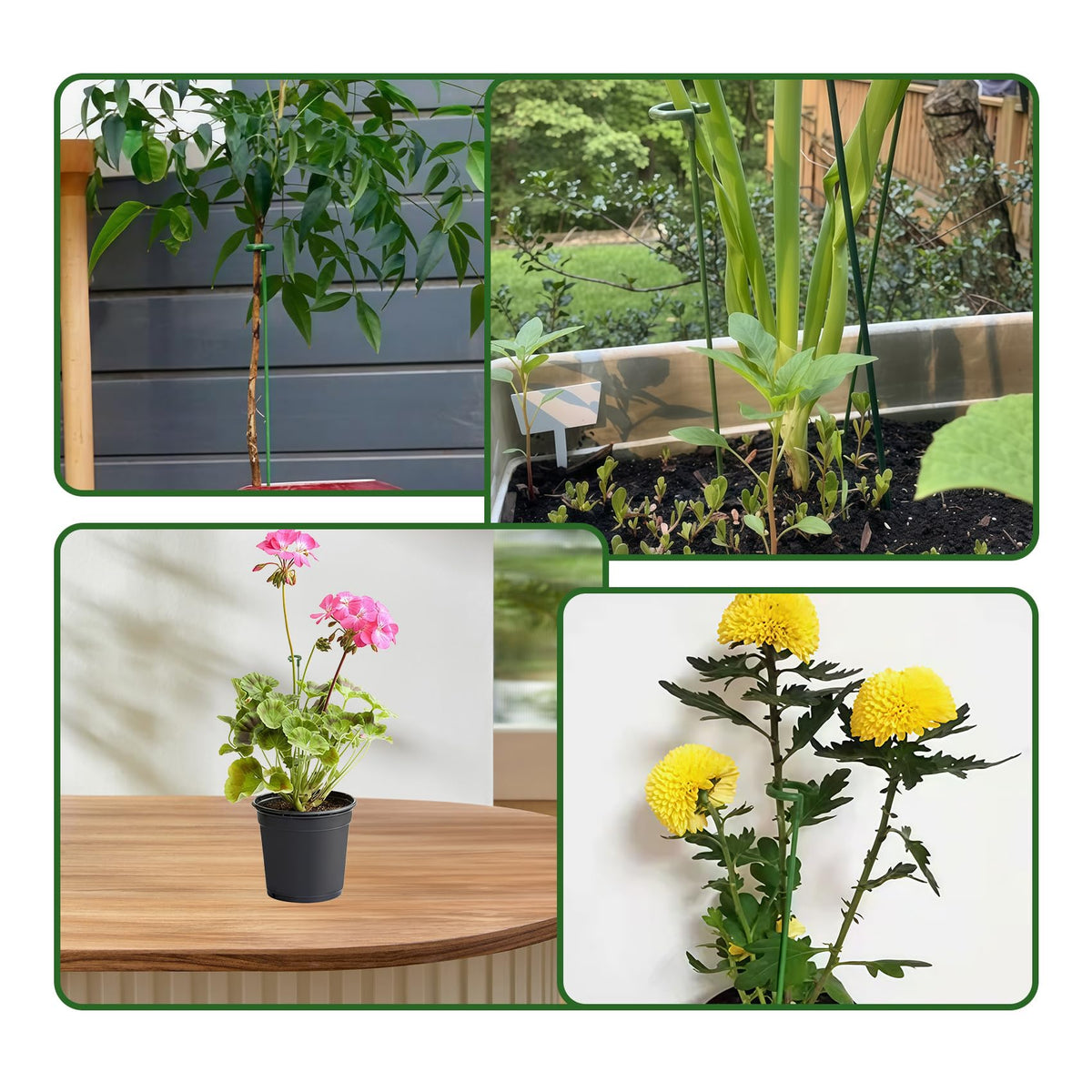CllyCnny durable garden stakes ideal for indoor and outdoor plants.