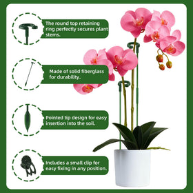 CllyCnny plant clips secure stems without damage for easy training.
