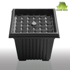 Clone King easy 30-minute setup saves time for growers