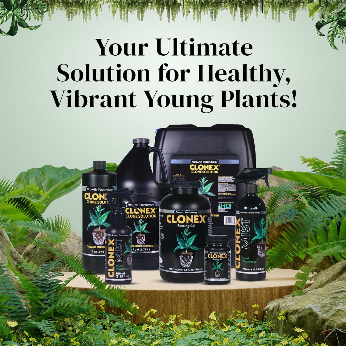 Clonex gel-coated cuttings promote steady root development in a warm propagation setup.
