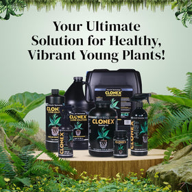 Clonex gel-coated cuttings promote steady root development in a warm propagation setup.