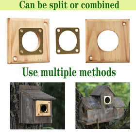 Cloud Fragrant bluebird box defense for outdoor use and long-lasting protection.