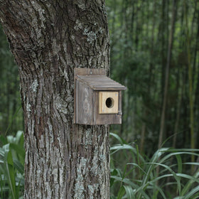 Cloud Fragrant wooden bird house entrance protection with screws included.