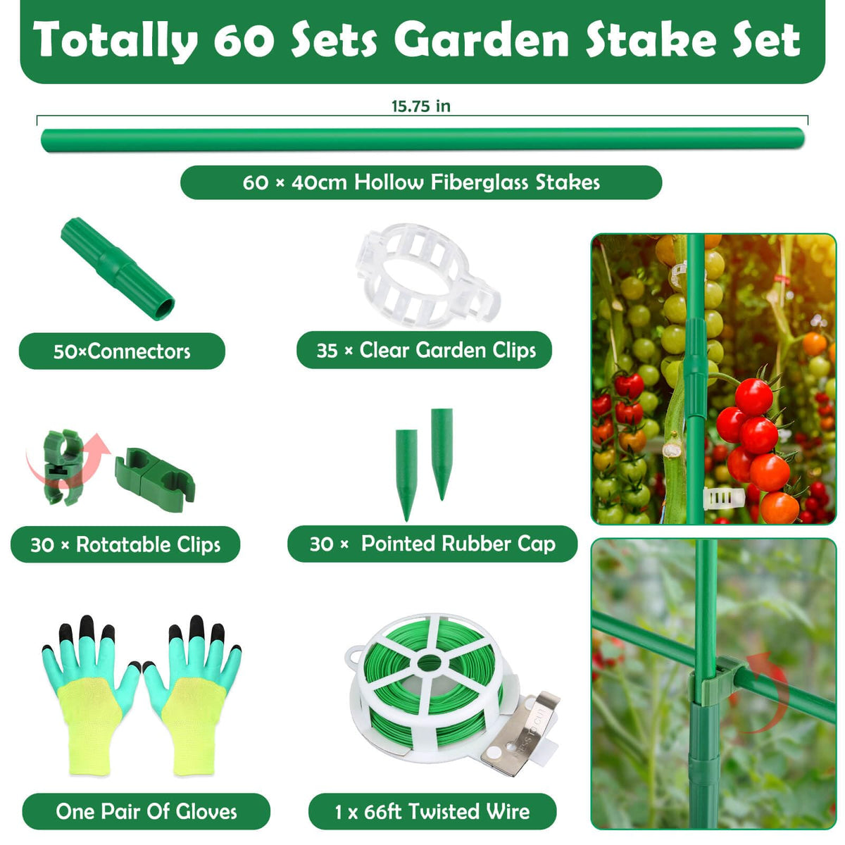 Cludoo fiberglass plant stakes demonstrate durable, rust-free outdoor garden use
