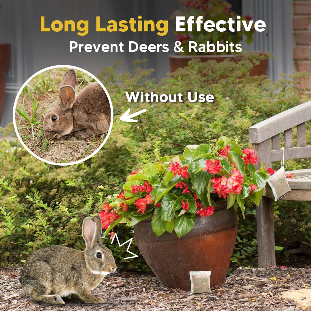 CLVDOFSS deer and rabbit repellent used outdoors protects flowers and vegetables.