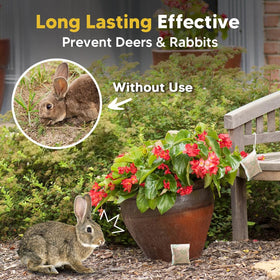 CLVDOFSS deer and rabbit repellent used outdoors protects flowers and vegetables.