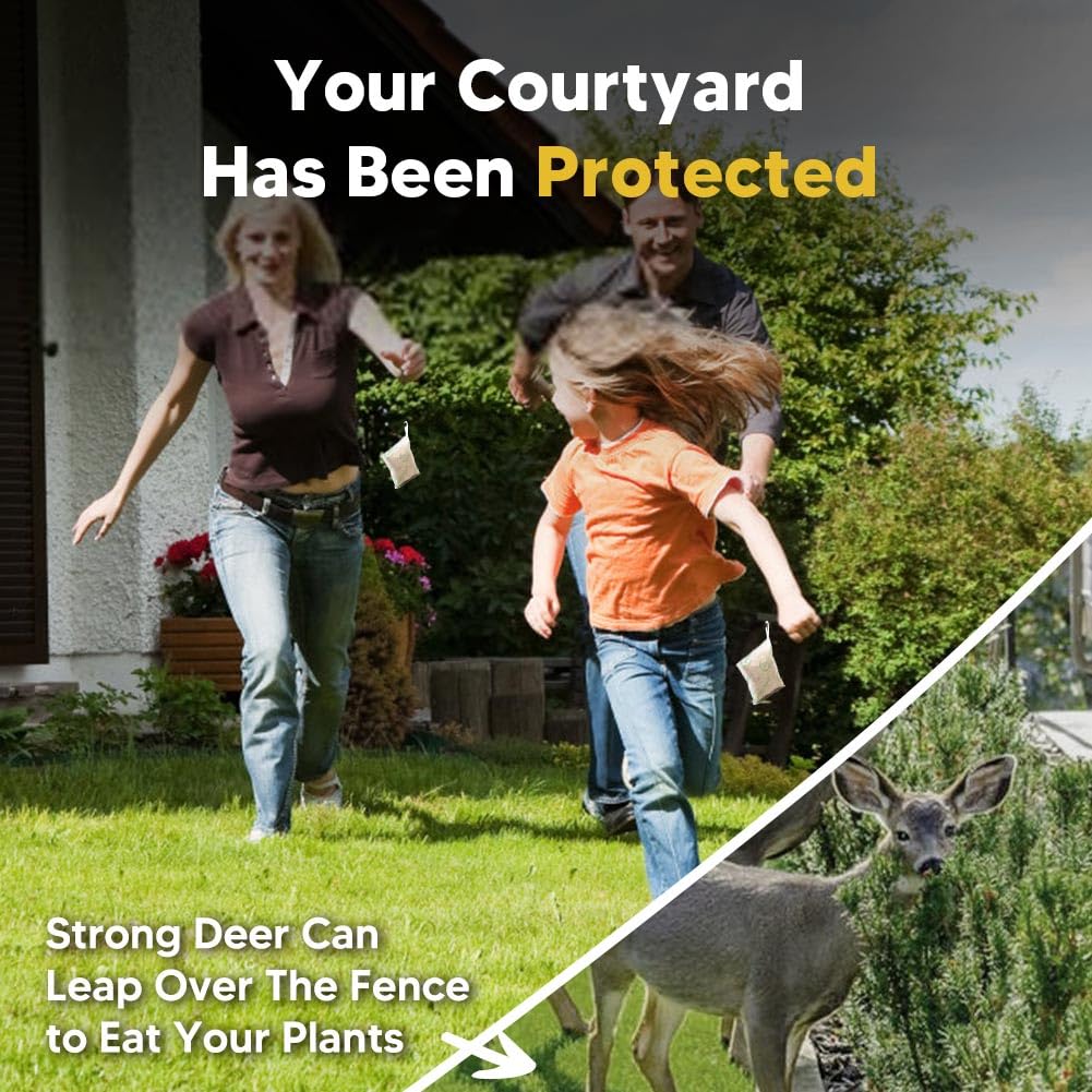 CLVDOFSS safe for pets and family outdoors.