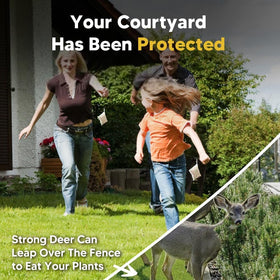 CLVDOFSS safe for pets and family outdoors.