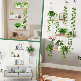 CMXZSAM greenery decor that matches various interiors.