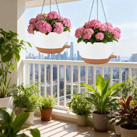 CNLBO two-pack hanging planters suitable for kitchen and balcony decor.