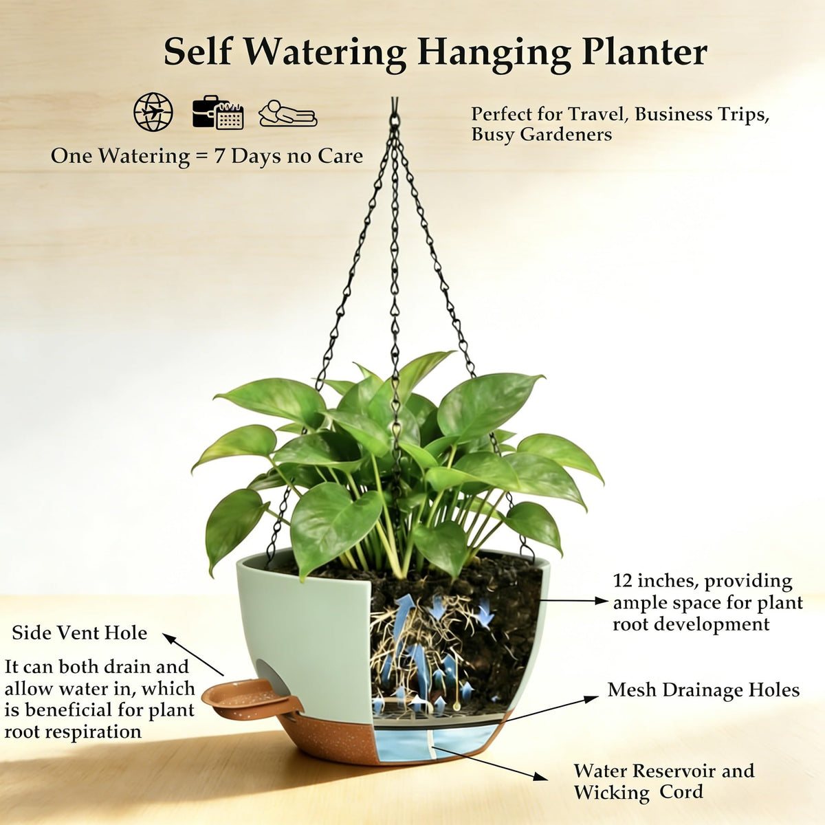CNLBO detachable saucer and rope system keeps soil moist with less effort