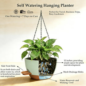 CNLBO detachable saucer and rope system keeps soil moist with less effort