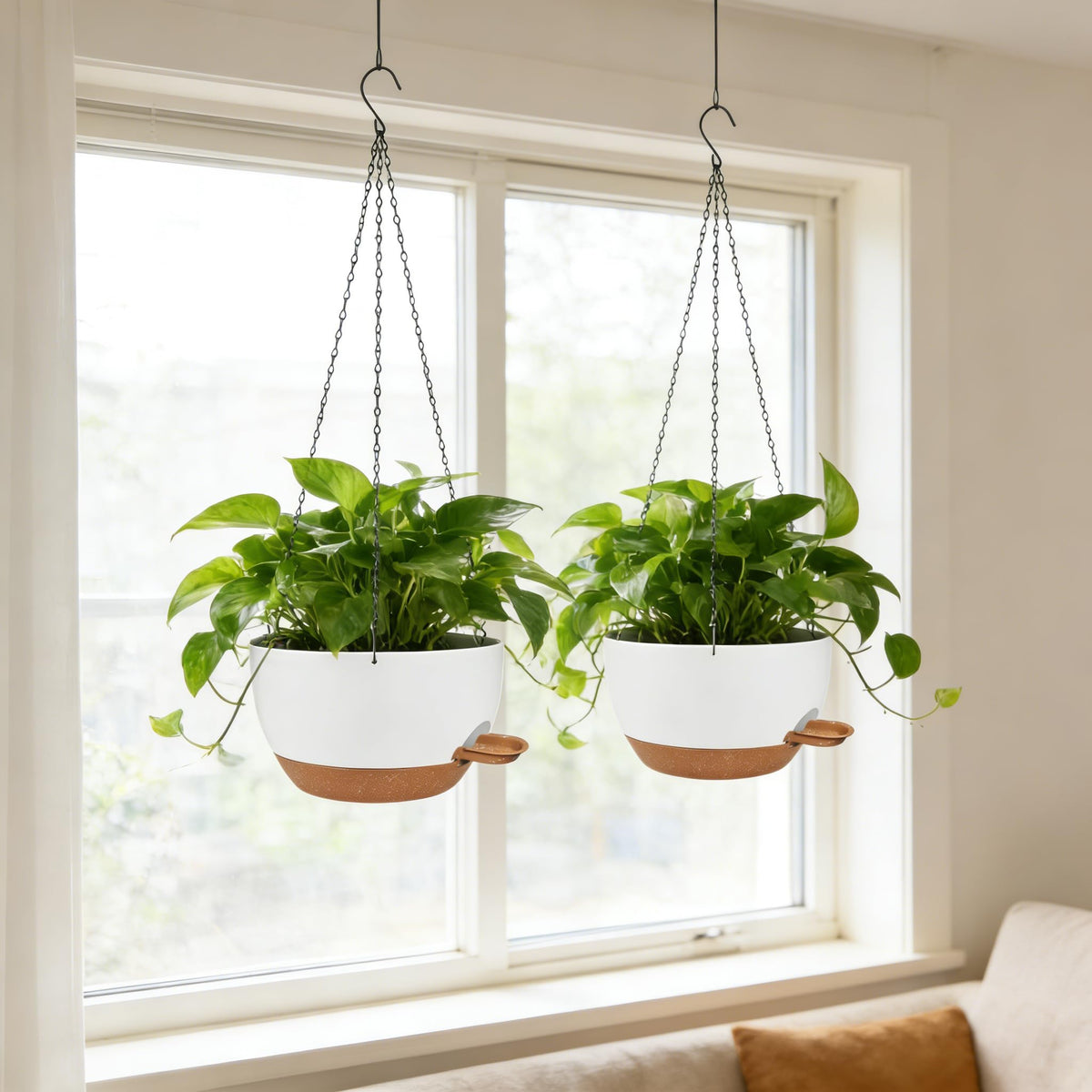 CNLBO versatile hanging planter suitable for indoor and outdoor spaces.