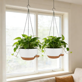 CNLBO versatile hanging planter suitable for indoor and outdoor spaces.