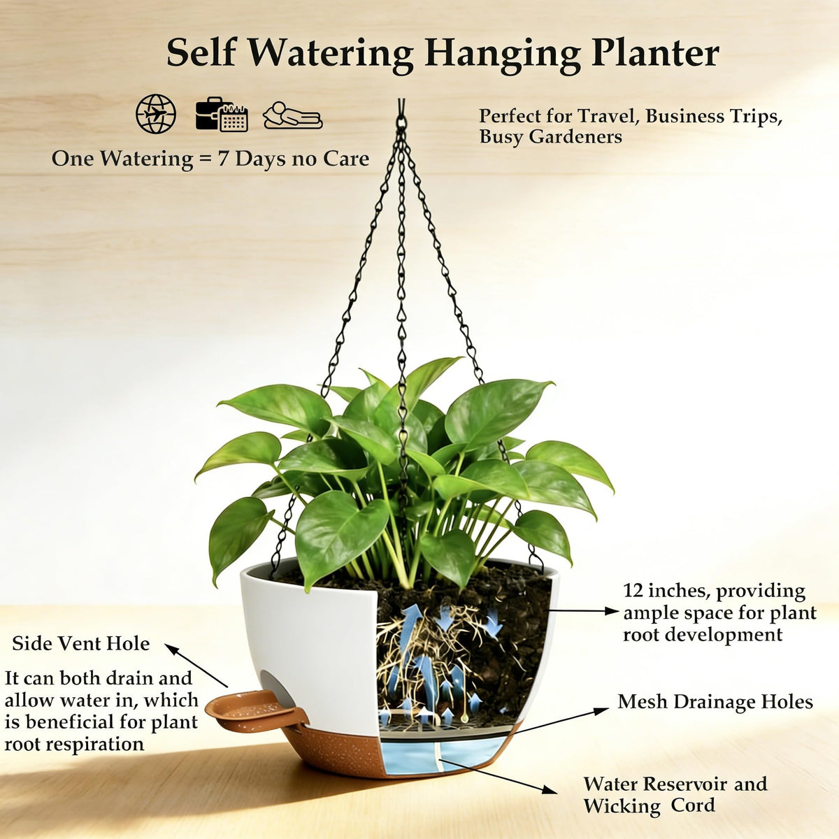 CNLBO rust-proof metal chain provides stable outdoor hanging support.