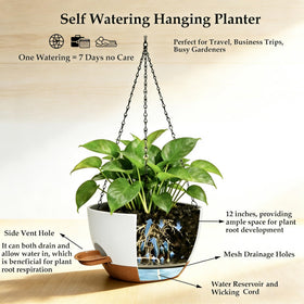 CNLBO rust-proof metal chain provides stable outdoor hanging support.