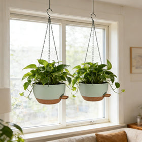 CNLBO sturdy outdoor hanging chain supporting planters in sunny/frosty conditions