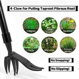 CNSYZX Garden-Lawn Weed Remover Head for patios, lawns, and beds