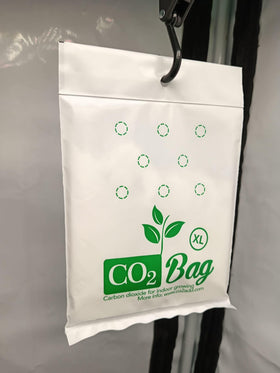CO2BAG XL boosted-plant-growth highlights potential faster growth and color.
