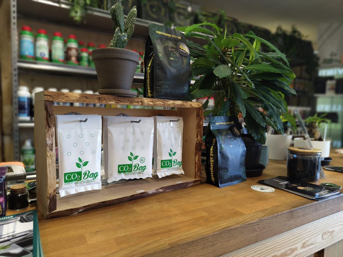 CO2BAG XL indoor-tent-use enables safe, maintenance-free CO₂ enrichment.