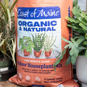 Coast of Maine Cape Neddick Blend enhances soil texture for flowering houseplants.