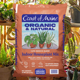 Cape Neddick Blend supports tropical plants with balanced nutrients for lush leaves.