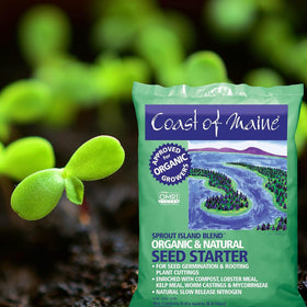 Use of Sprout Island Blend for rooting cuttings in trays