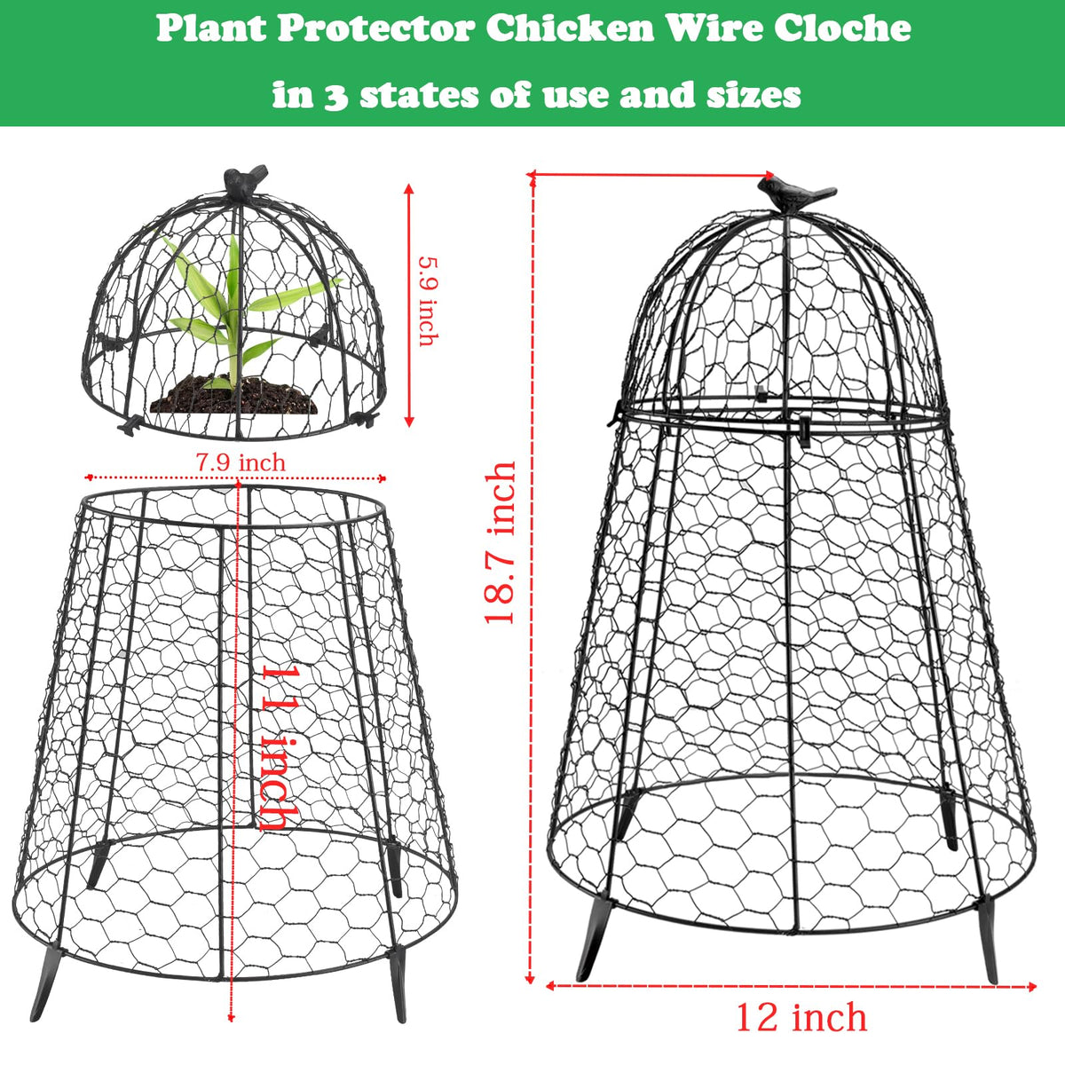 COATTOA ground spikes stabilize the cloche in soil and wind.