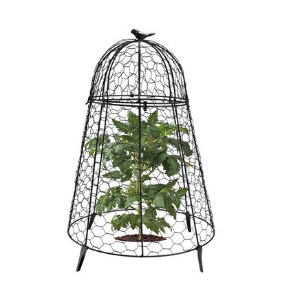 COATTOA plant protector with chicken-wire dome top shielding a seedling outdoors.