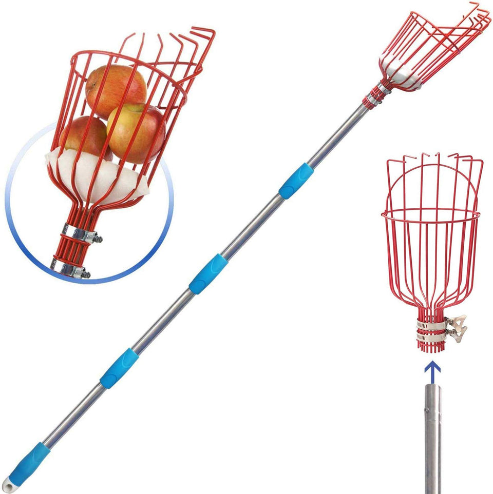 COCONUT 5FT fruit-picker pole-assembly demonstrates adjustable reach for tall trees.