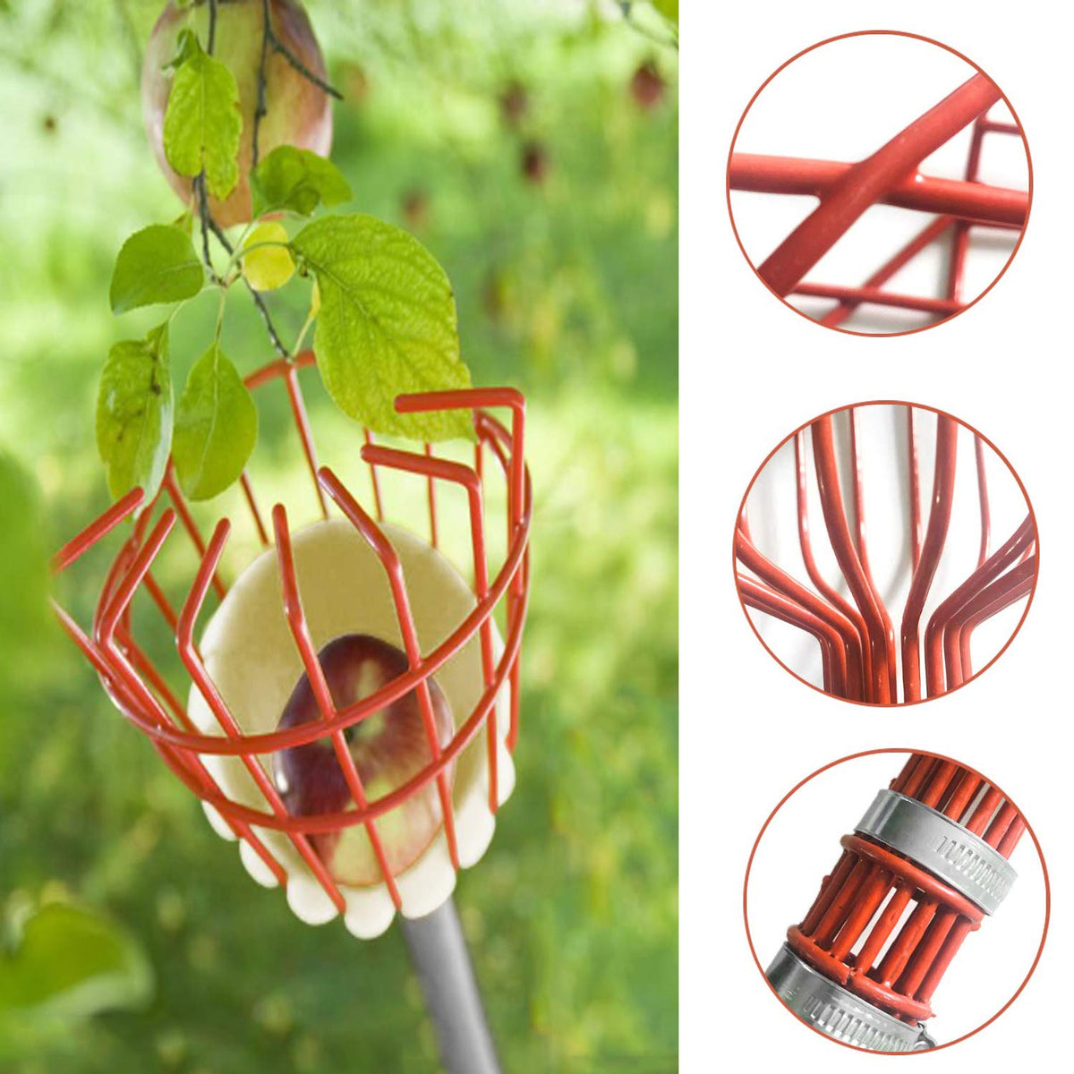 COCONUT tool reaches high branches without ladders for safe harvesting.