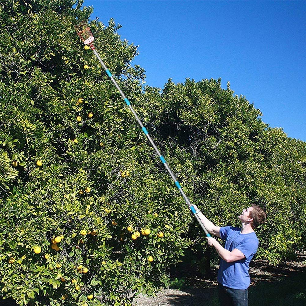 COCONUT soft-foam-basket protects delicate fruit like peaches during harvesting.