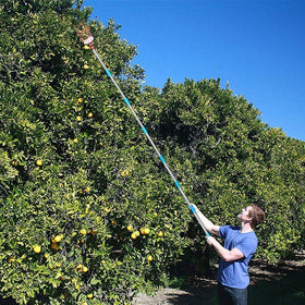 COCONUT soft-foam-basket protects delicate fruit like peaches during harvesting.