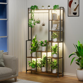 CODACE ladder-design metal stand promotes even light exposure