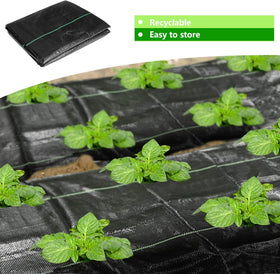 CODREE erosion-protecting mat supports soil integrity across planting areas
