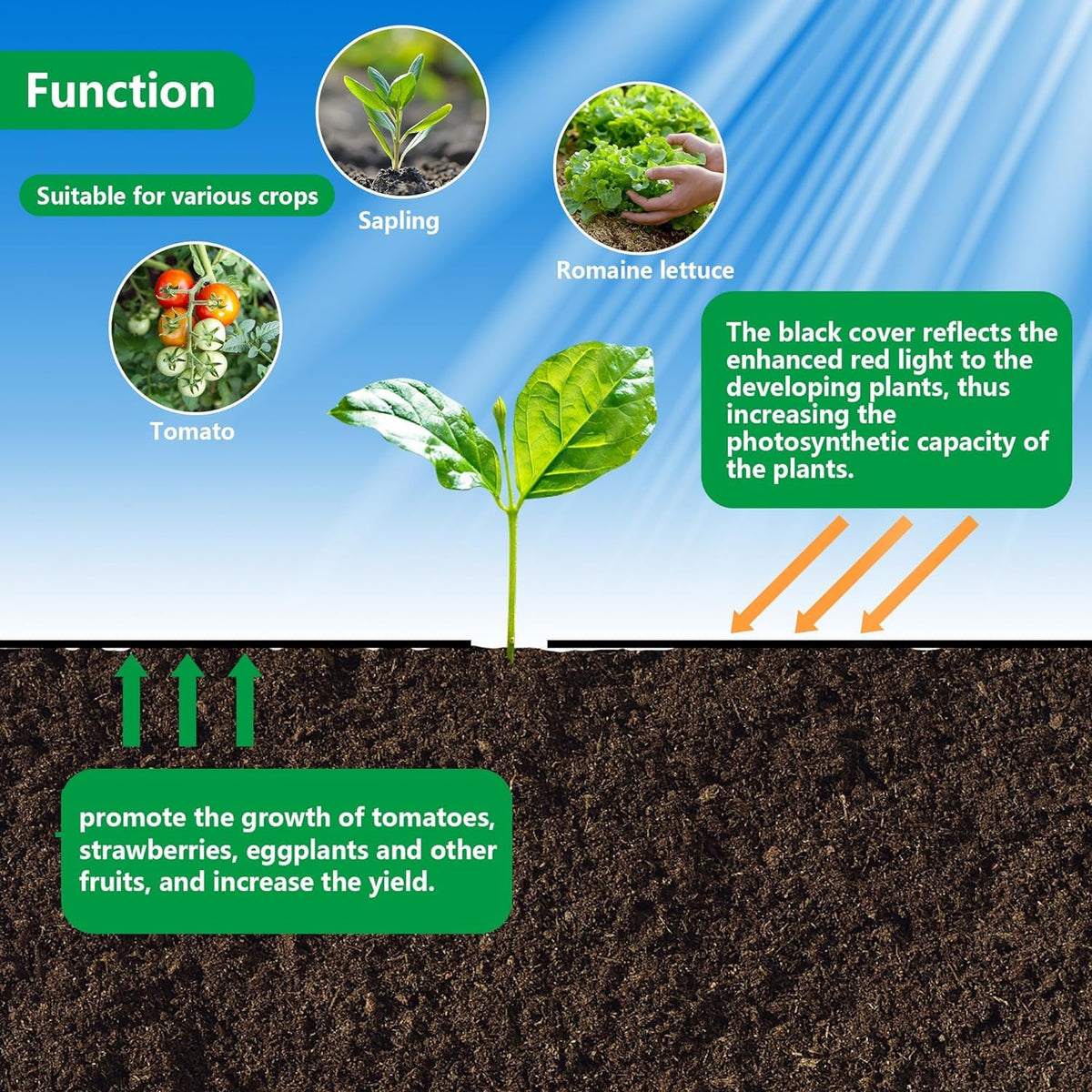 CODREE heavy-duty polypropylene fabric endures outdoor use while protecting soil health