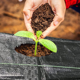 CODREE barrier helps maintain soil temperature and moisture for healthier beds