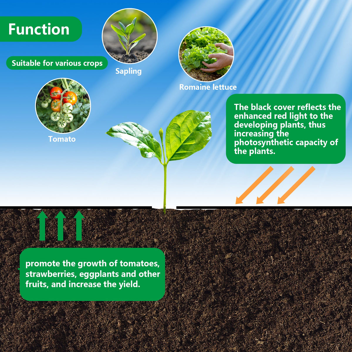 Codree weed-barrier installation enables fast setup in any bed.
