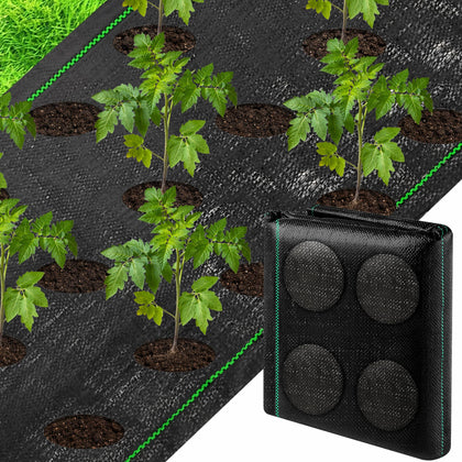 Codree weed barrier with planting holes for 13x4 ft beds enabling neat planting.